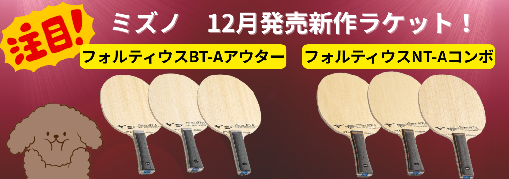 フォルティウス